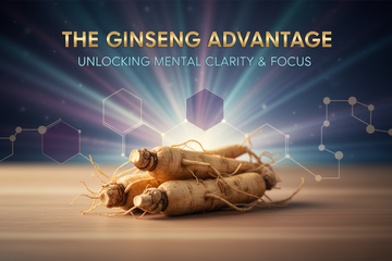 Panax Ginseng for Focus: Benefits, Dosage & Mental Performance (UK Guide 2026)
