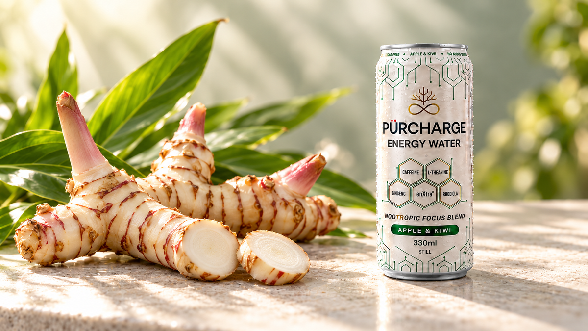 What Is enXtra®? The Galangal Extract in Focus Drinks