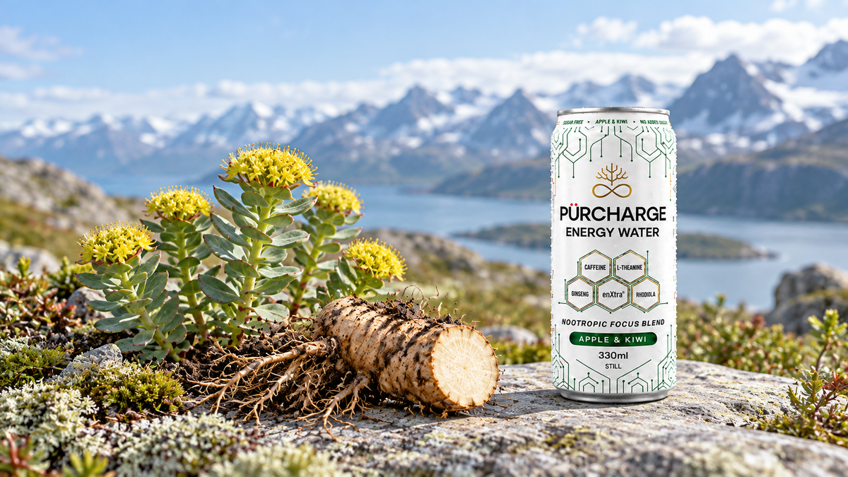 Rhodiola Rosea: The Arctic Root Explained