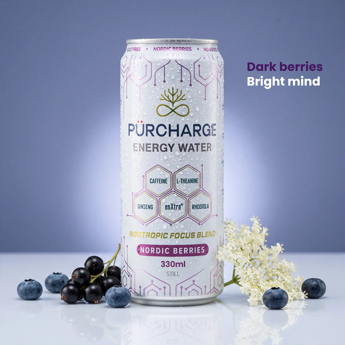 Energy Water - Nordic Berries Pack of 12